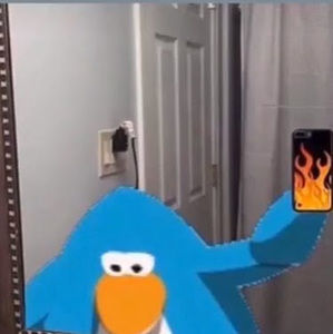 Meet your Posher, Julia